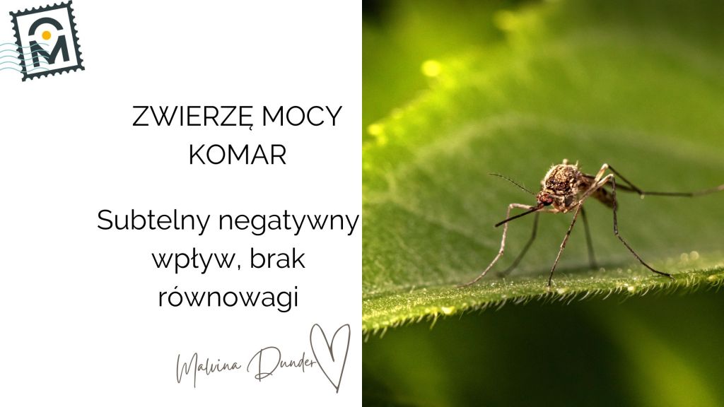 Zwierzę Mocy Komar znaczenie – subtelny negatywny wpływ, brak równowagi,&nbsp;irytacja