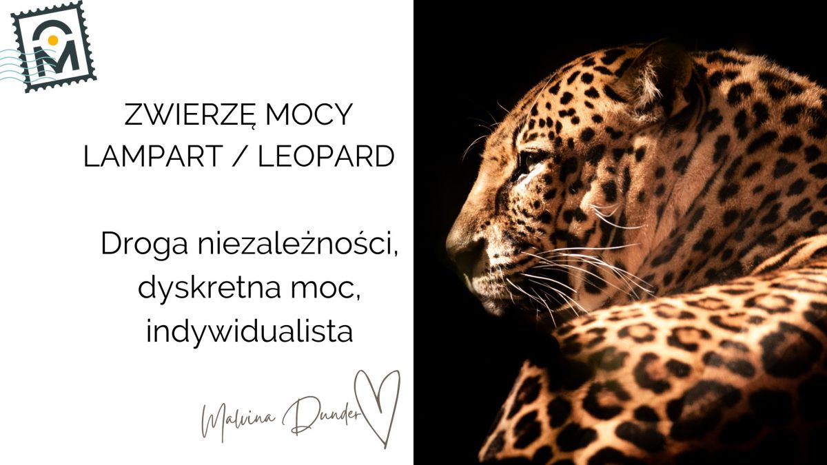 Zwierzę Mocy Lampart znaczenie, symbolika – przewodnik niezależnej drogi, dyskretna&nbsp;moc