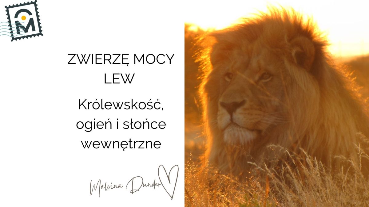 Zwierzę Mocy Lew znaczenie i symbolika – przywództwo, siła serca, duchowy ogień i&nbsp;królewskość