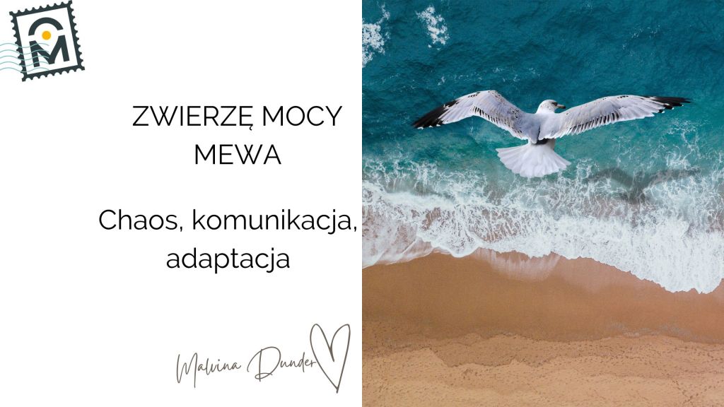 Zwierzę Mocy Mewa znaczenie i symbolika – chaos, adaptacja, wolność,&nbsp;komunikacja