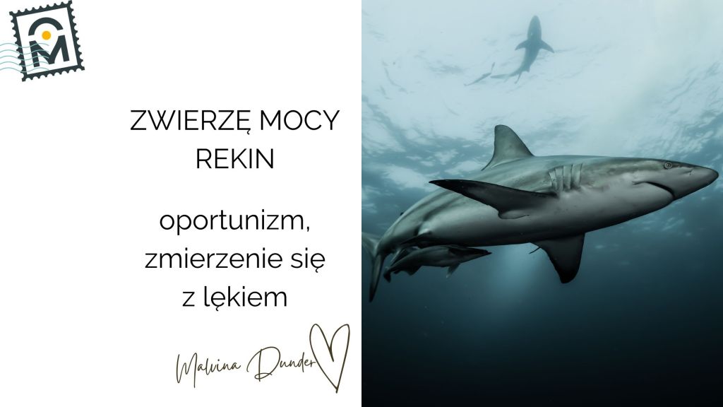 Zwierzę Mocy Rekin znaczenie – oportunizm, autorytet, zmierzenie się z&nbsp;lękiem