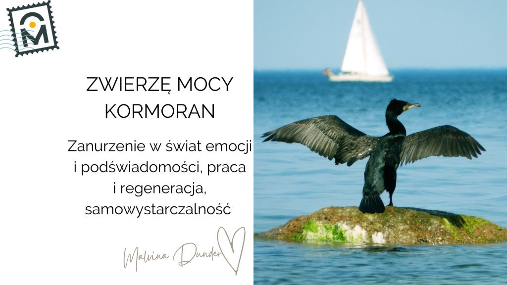 Zwierzę Mocy Kormoran znaczenie, symbolika – zanurzenie w emocje, obfitość, samowystarczalność