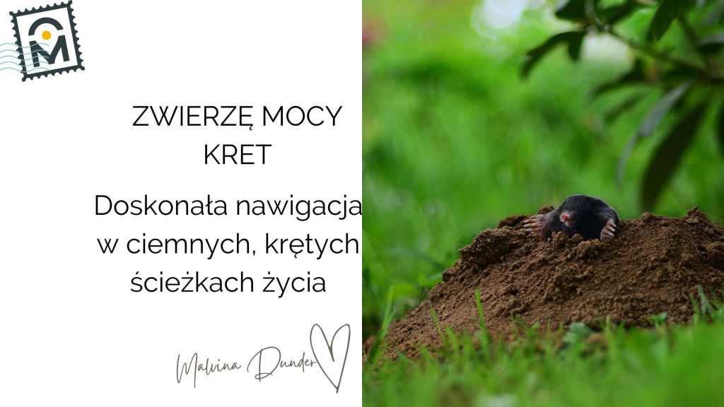 Zwierzę Mocy Kret znaczenie – nawigacja po ciemnych ścieżkach, odkopywanie&nbsp;prawdy