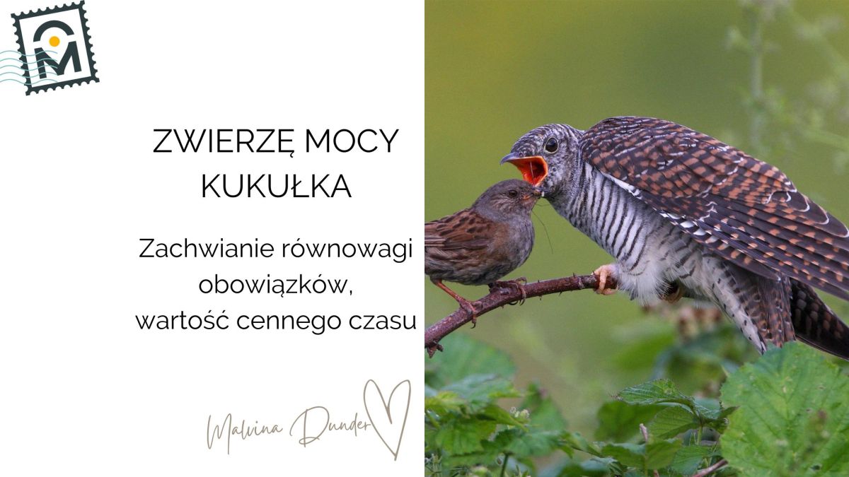 Zwierzę Mocy Kukułka znaczenie, symbolika – zachwianie równowagi obowiązków, wartość cennego&nbsp;czasu