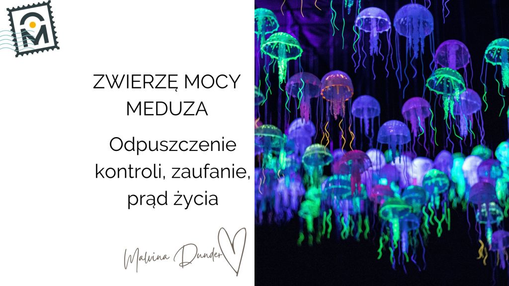 Zwierzę Mocy Meduza znaczenie – odpuszczenie kontroli, taniec przez życie, zaufanie w nurt&nbsp;życia