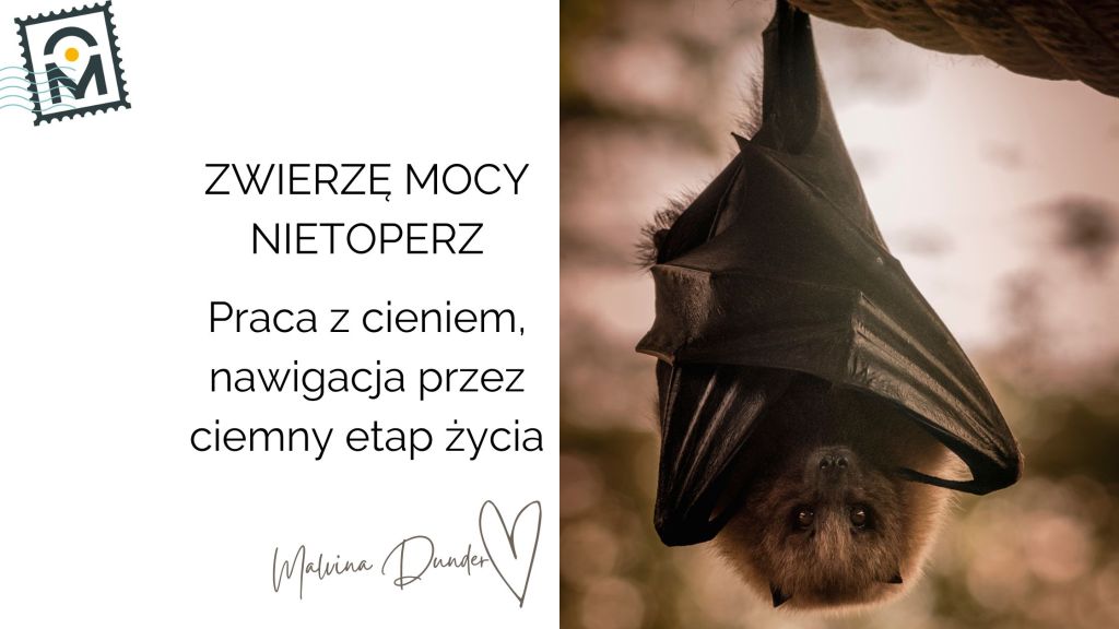 Zwierzę Mocy Nietoperz znaczenie – praca z cieniem, odwaga i&nbsp;odrodzenie