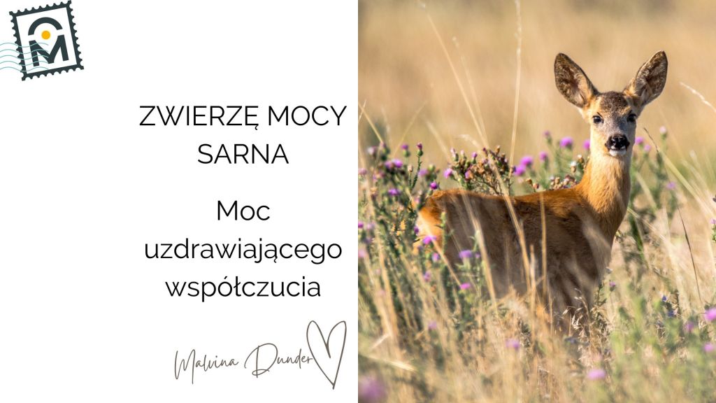 Zwierzę Mocy Sarna znaczenie – kobieca intuicja, wrażliwość i siła serca&nbsp;uzdrowicielki