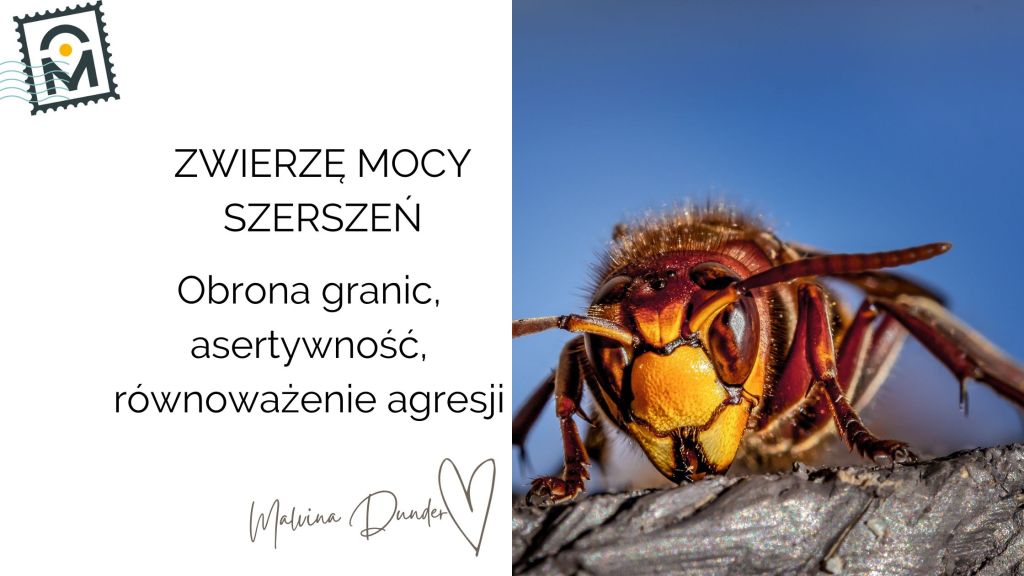Zwierzę Mocy Szerszeń znaczenie – siła, granice, transformacja i świadoma&nbsp;asertywność