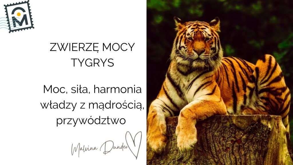Zwierzę Mocy Tygrys znaczenie – moc osobista, symbol siły, odwagi i&nbsp;przywództwa