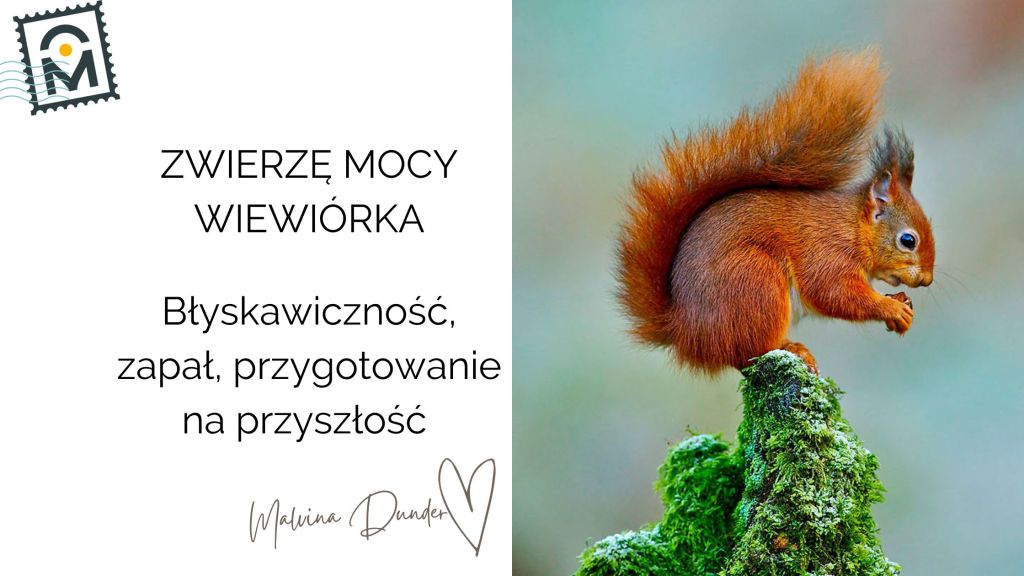 Zwierzę Mocy Wiewiórka znaczenie – szybkość, przygotowanie, energia&nbsp;działania