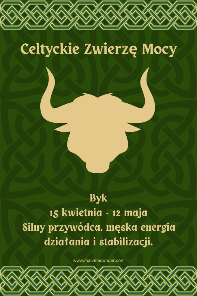 Byk Celtyckie Zwierzę Mocy