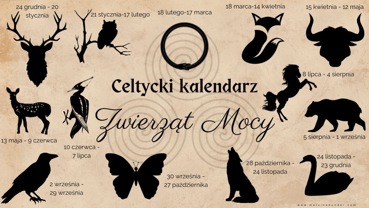 Kalendarz Celtycki Zwierząt Mocy (horoskop). Sprawdź jakie jest Twoje celtyckie Zwierzę&nbsp;Mocy