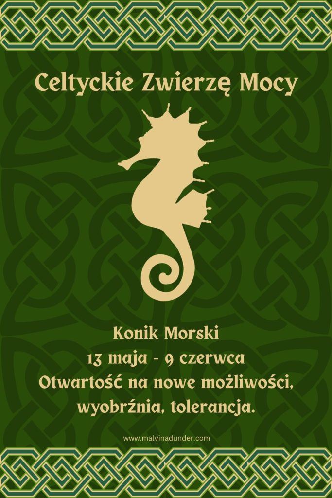 Konik Polny Celtyckie Zwierzę Mocy