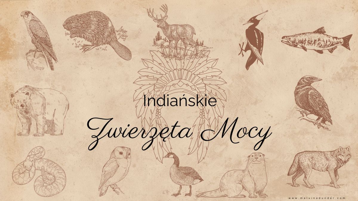 Indiańskie Zwierzęta Mocy. Poznaj swój&nbsp;Totem