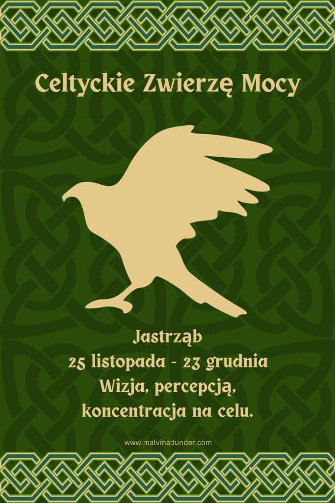 JAstrząb Celtyckie Zwierzę Mocy