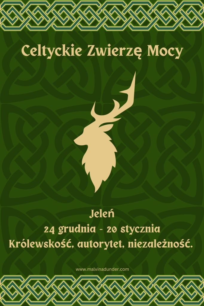 Jeleń Celtyckie Zwierzę Mocy