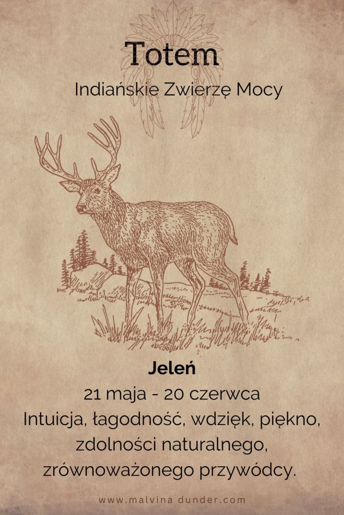 Jeleń Indiańskie Zwierzę Mocy, totem