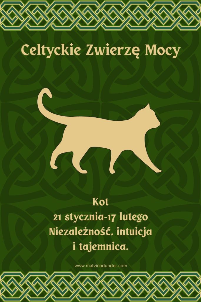 Kot Celtyckie Zwierzę Mocy