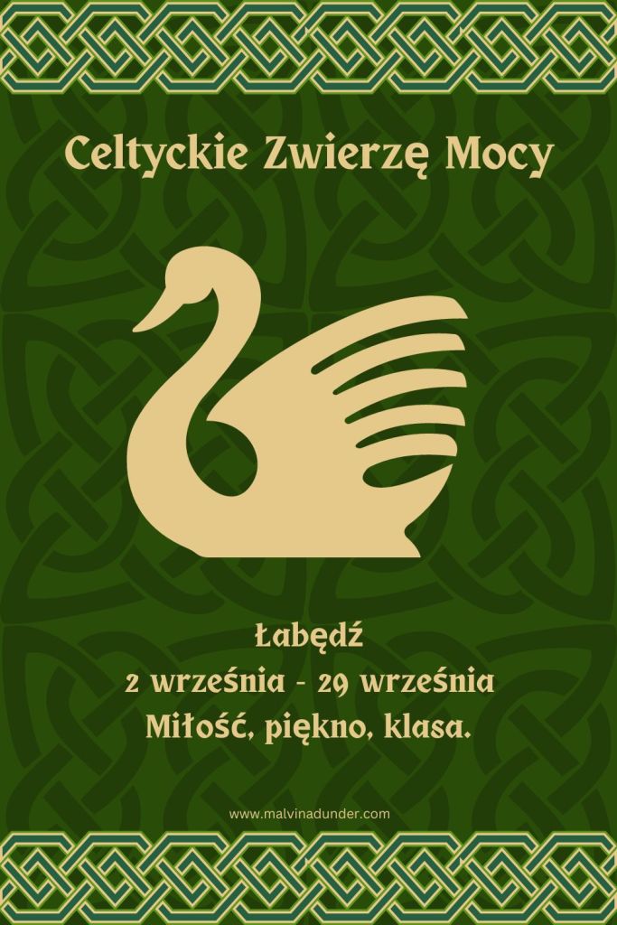 Łabędź Celtyckie Zwierzę Mocy