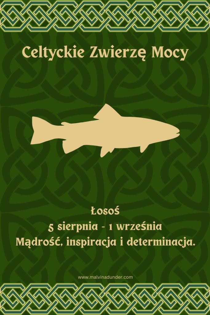 Łosoś Celtyckie Zwierzę Mocy
