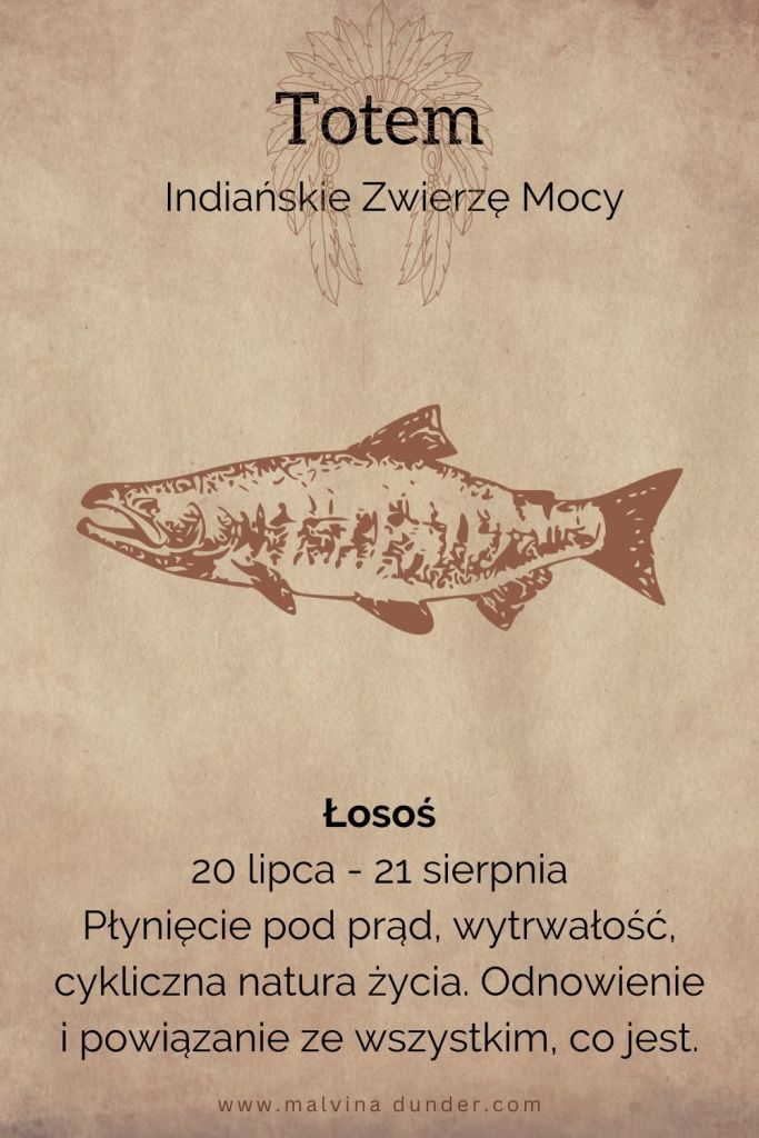 Łosoś Indiańskie Zwierzę Mocy, totem