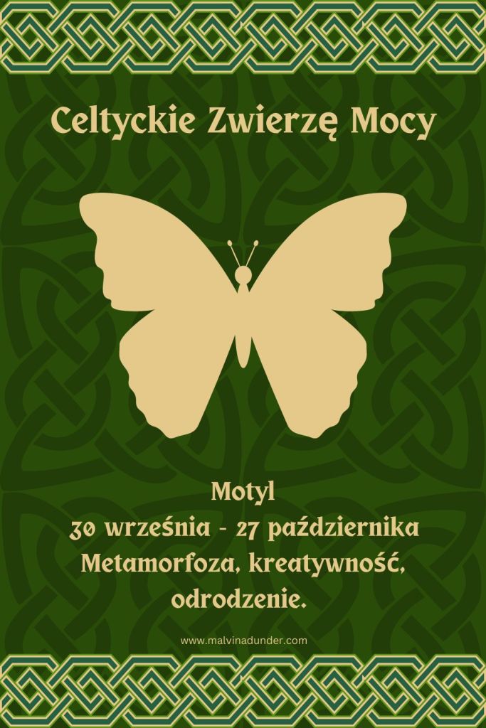 Motyl Celtyckie Zwierzę Mocy