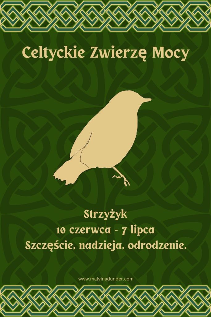 Strzyżyk Celtyckie Zwierzę Mocy