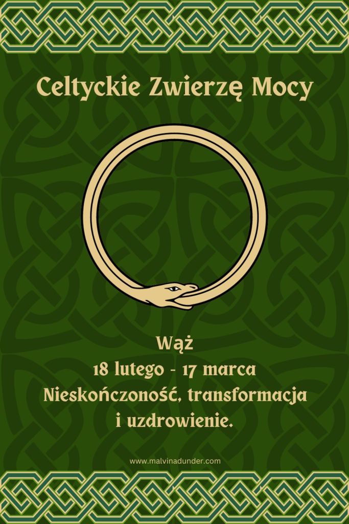 Wąż Celtyckie Zwierzę Mocy