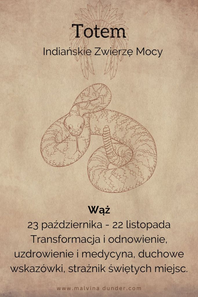 Wąż Indiańskie Zwierzę Mocy, totem
