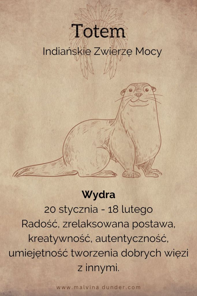 Wydra Indiańskie Zwierzę Mocy, totem