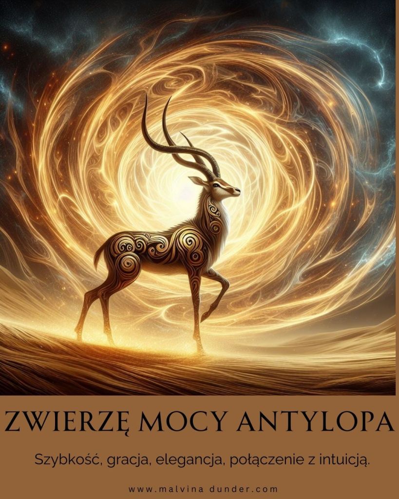 Antylopa Zwierzę Mocy