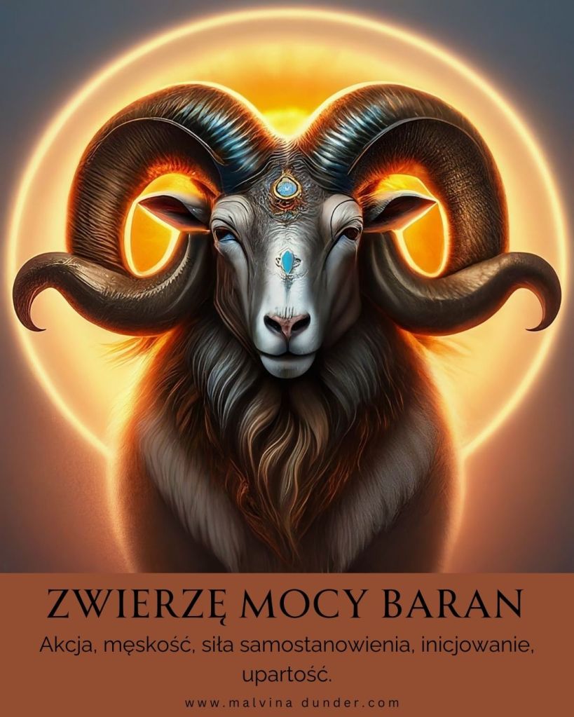 Baran Zwierzę Mocy