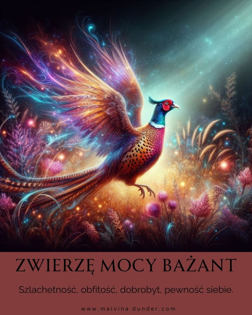 Bażant Zwierzę Mocy