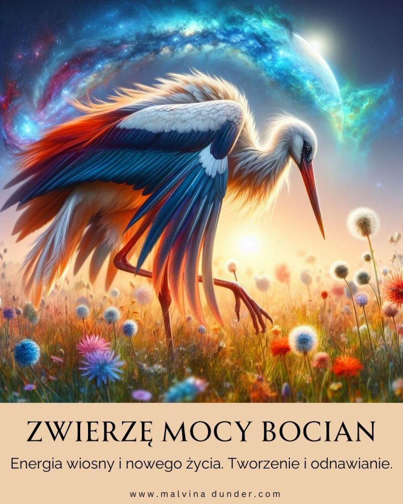 Bocian Zwierzę Mocy