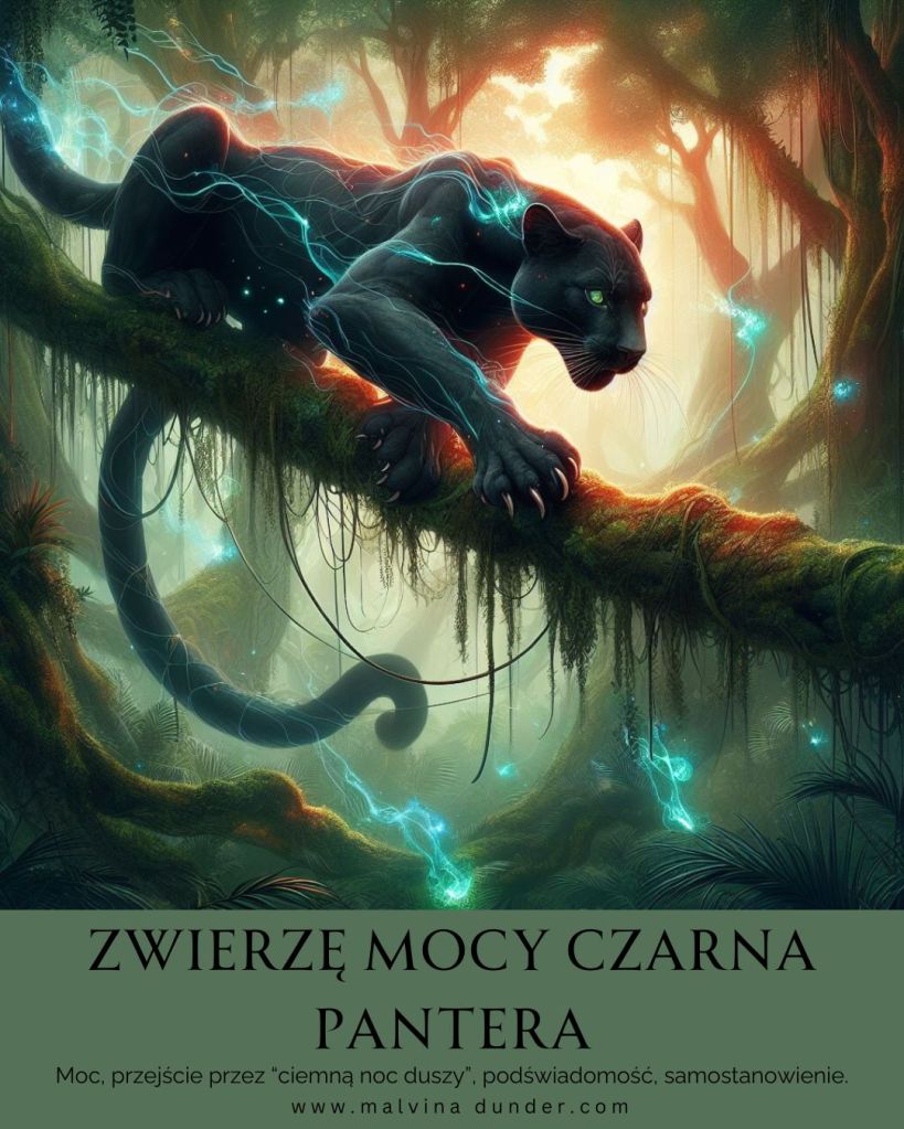 Czarna pantera Zwierzę Mocy