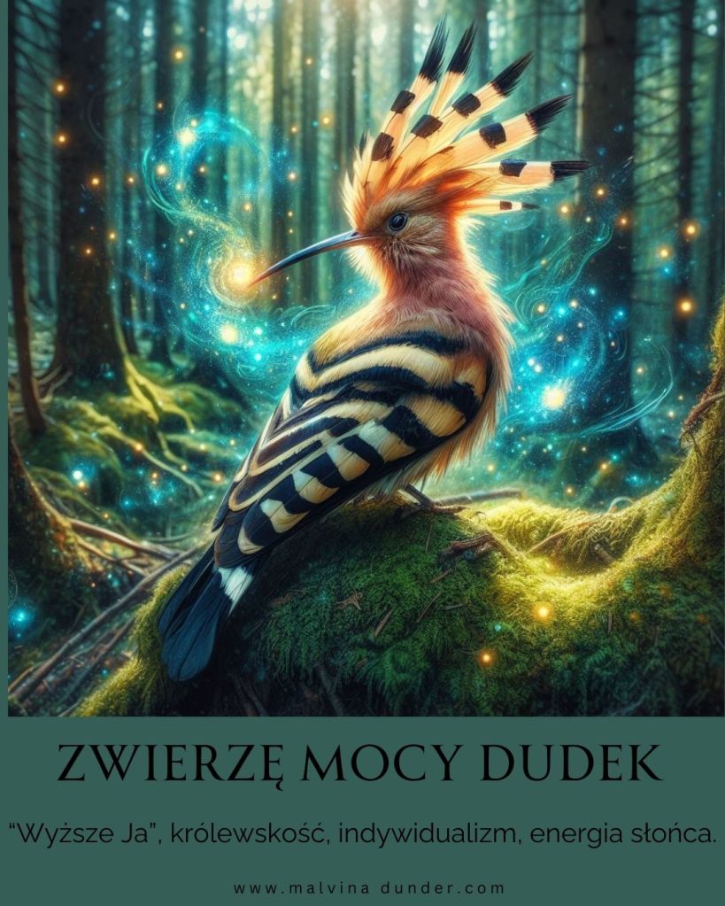 ptak Dudek Zwierzę Mocy