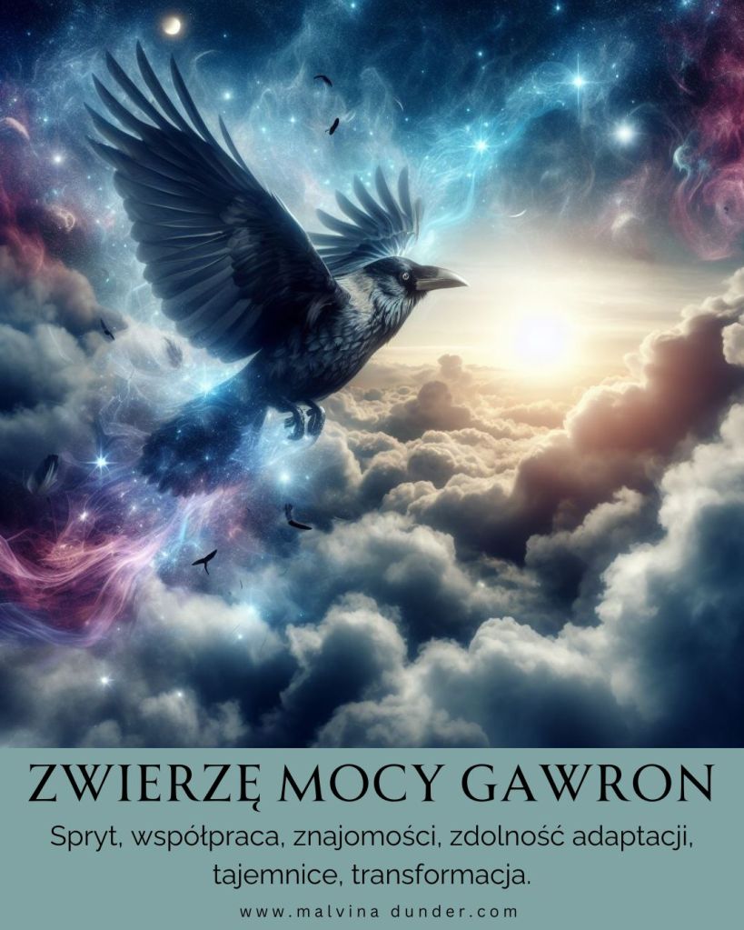 Gawron Zwierzę Mocy