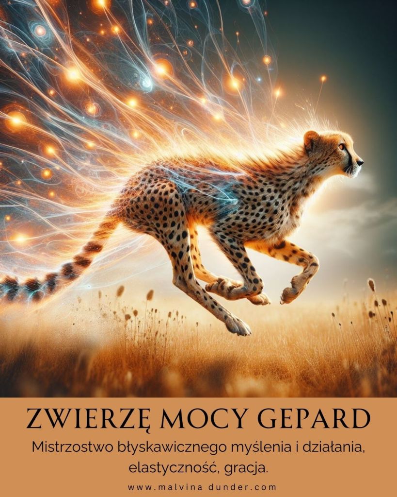Gepard Zwierzę Mocy