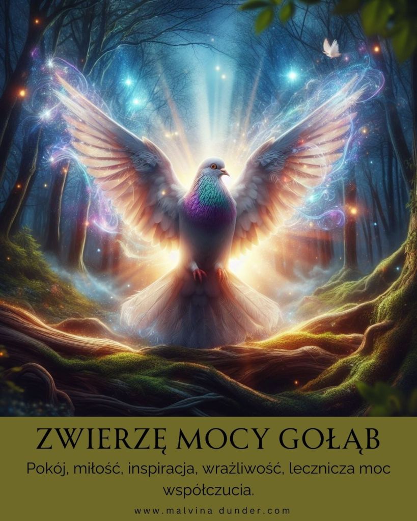Gołąb Zwierzę Mocy