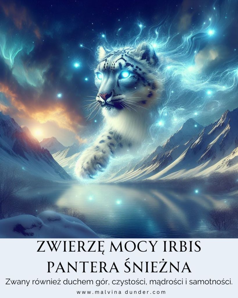 Irbis, pantera śnieżna, leopard śnieżny Zwierzę Mocy