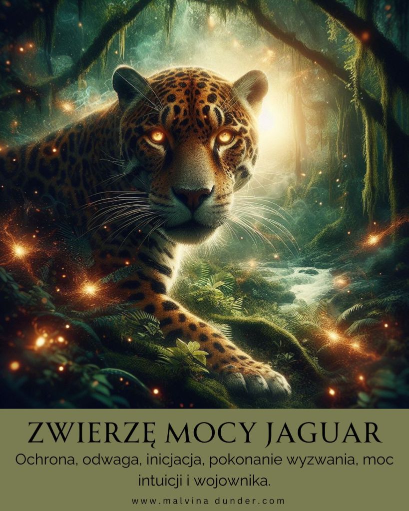 Jaguar Zwierzę Mocy