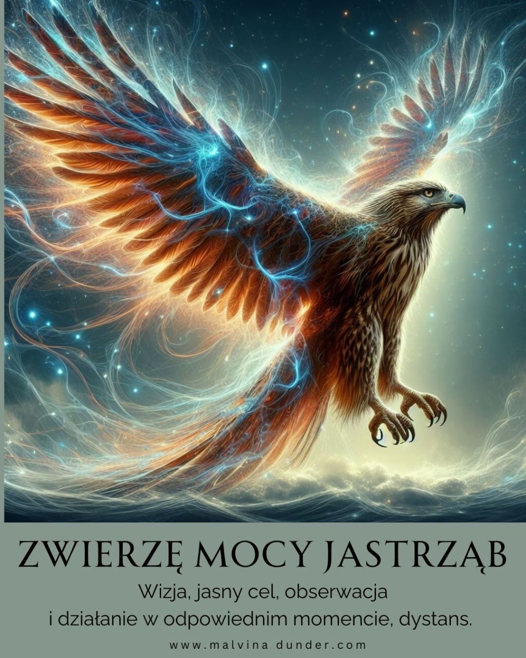 Jastrząb Zwierzę Mocy