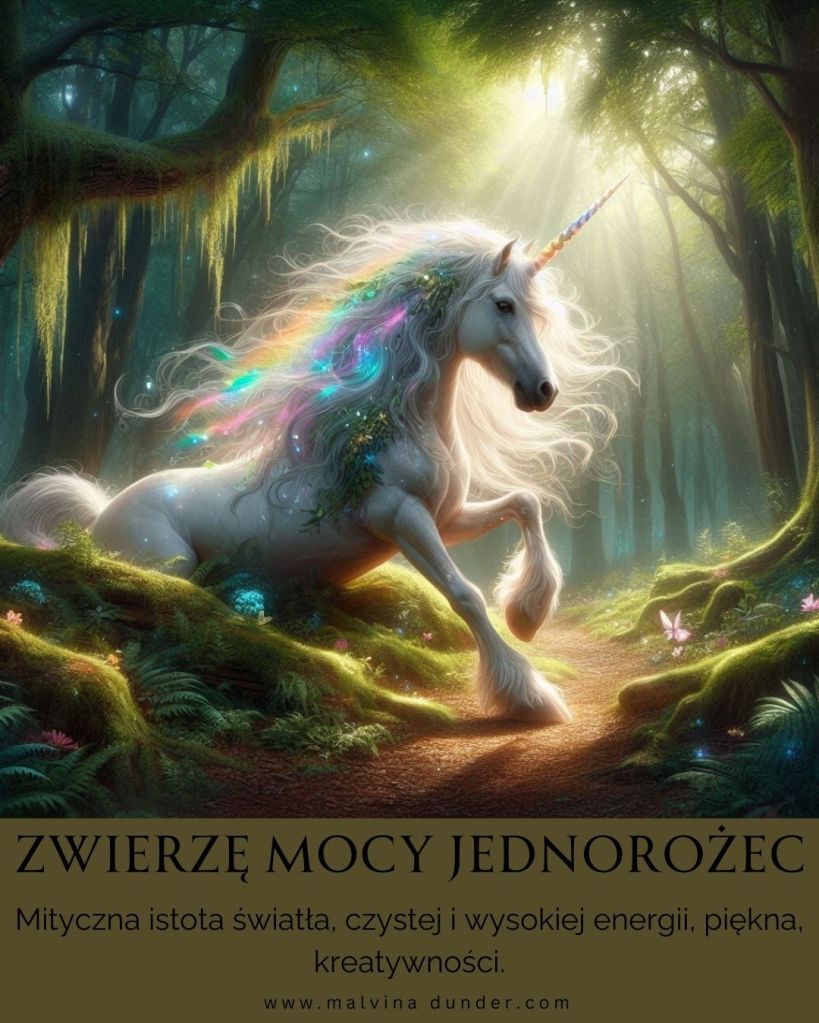 Jednorożec Zwierzę Mocy