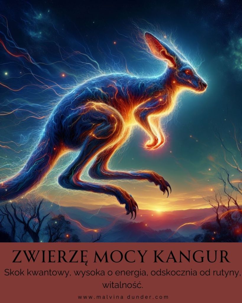 Kangur Zwierzę Mocy