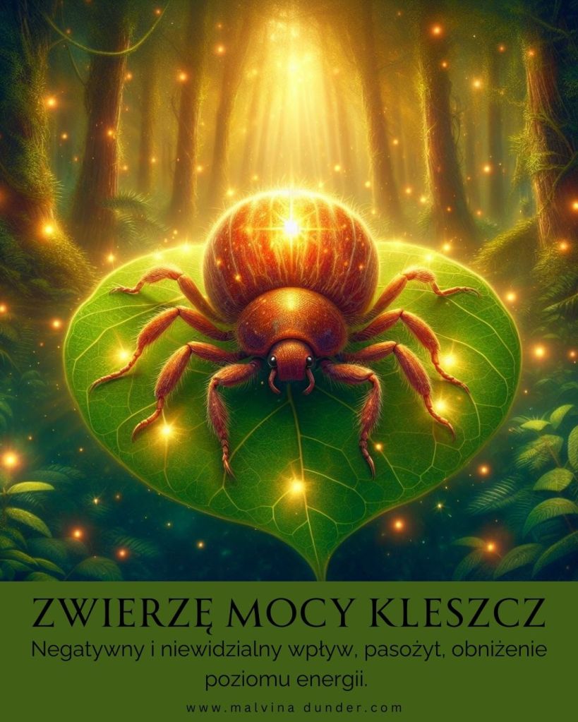 Kleszcz Zwierzę Mocy