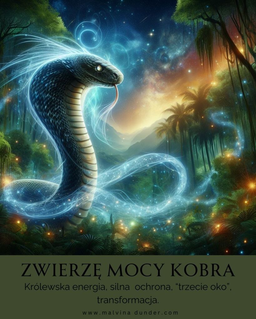Kobra królewska Zwierzę Mocy