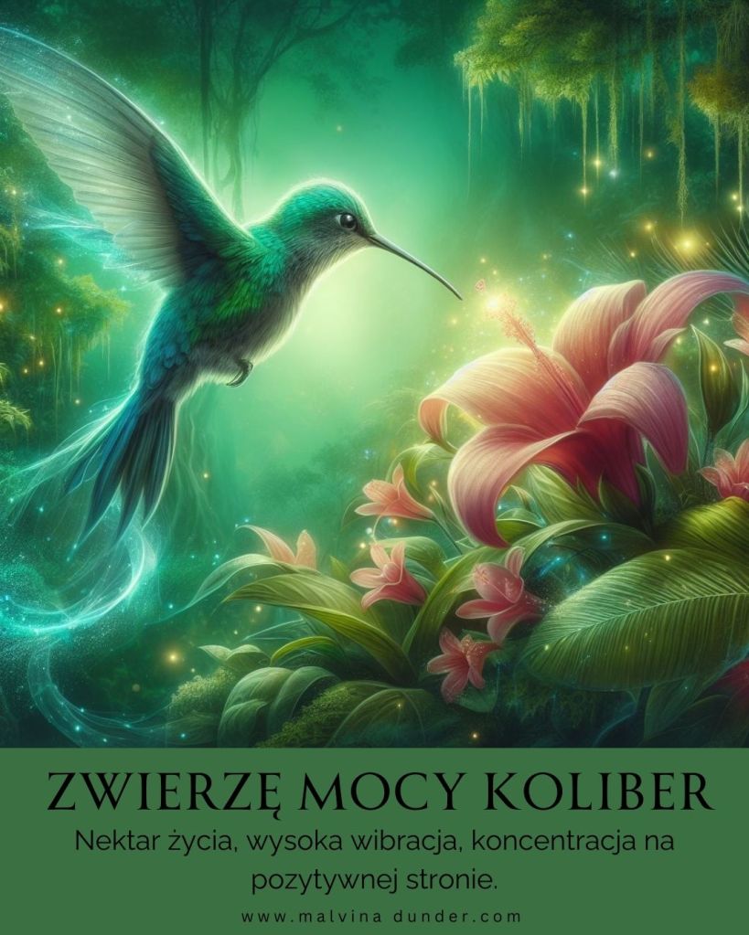 Koliber Zwierzę Mocy