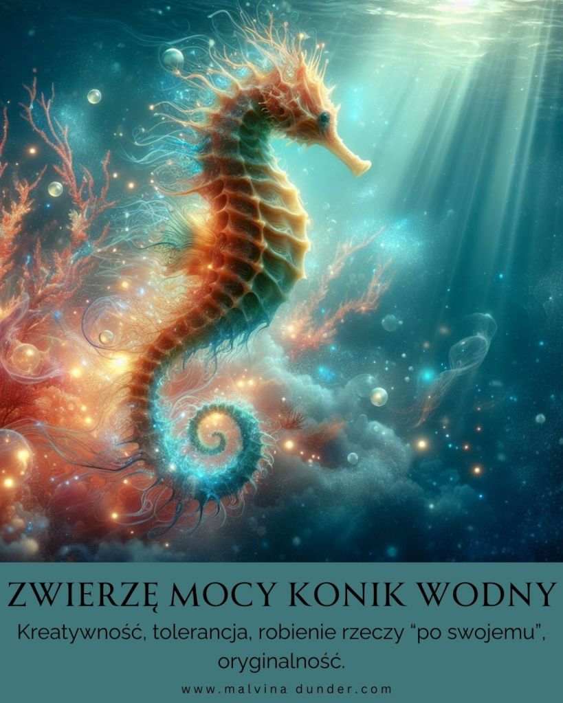 Konik Wodny Zwierzę Mocy