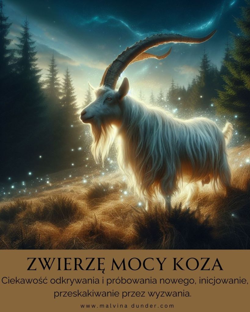 Koza kozioł Zwierzę Mocy