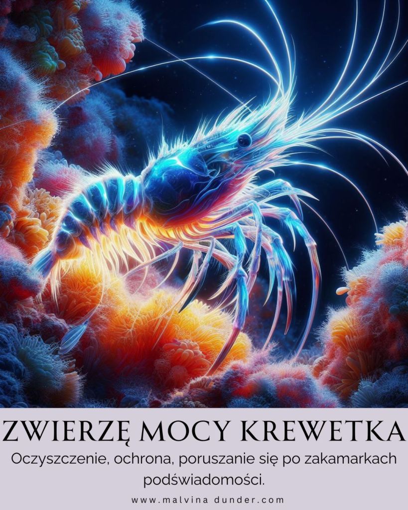 Krewetka Zwierzę Mocy